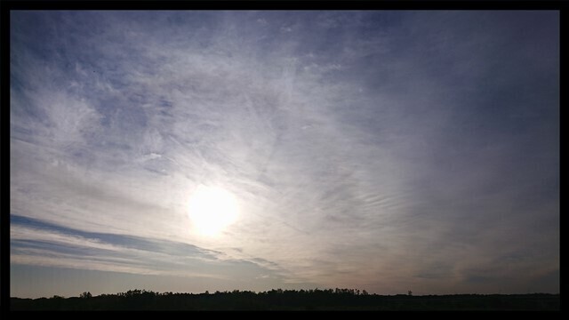 DSC_0536.JPG