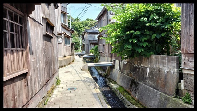 IMG20230618103424.jpg