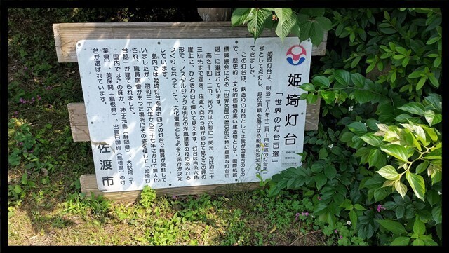 IMG20230618141230.jpg