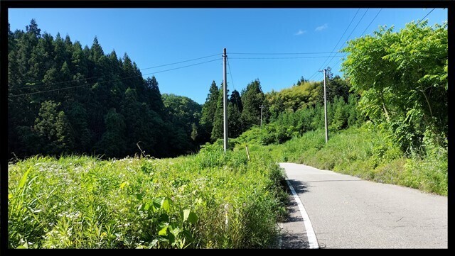 IMG20230619075938.jpg