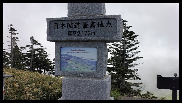 IMG20230620084228.jpg