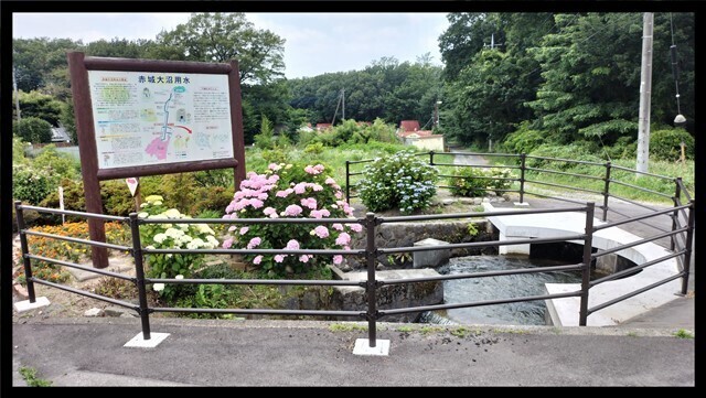 IMG20230620114327.jpg