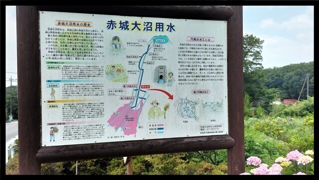IMG20230620114344.jpg