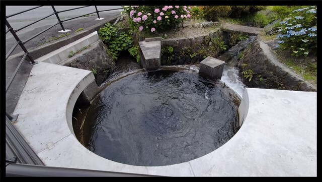 IMG20230620114410.jpg