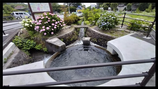IMG20230620114425.jpg