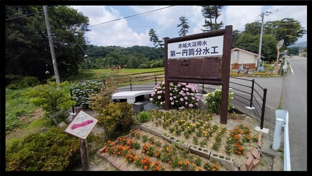 IMG20230620114638.jpg