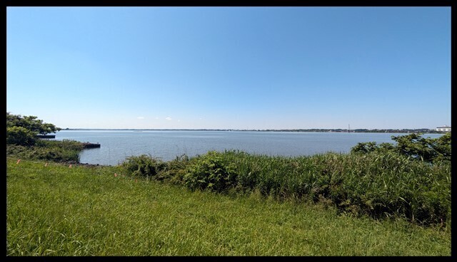 PXL_20240619_003946541.jpg