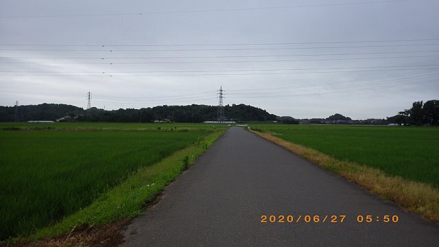 RIMG4703.JPG